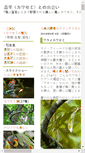 Mobile Screenshot of eisvogel.jp