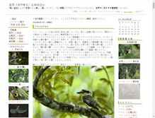 Tablet Screenshot of eisvogel.jp